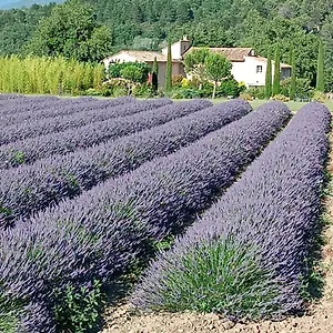 Mas De Longuefeuille , Malaucene France